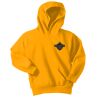 Youth Core Fleece Pullover Hooded Sweatshirt with name Thumbnail