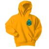 Youth Core Fleece Pullover Hooded Sweatshirt with name Thumbnail