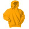 Youth Core Fleece Pullover Hooded Sweatshirt with name Thumbnail